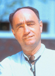 Prof. Dr. Wolfgang L. Gross